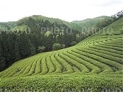 6798