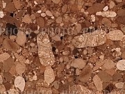 15542