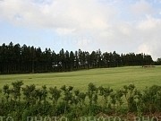 47936