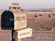 60843