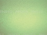 82776
