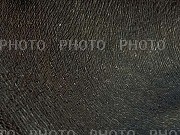 189215