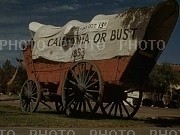215994