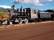 256049