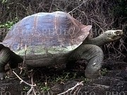 397570