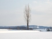 467434