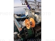 559229