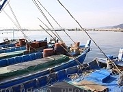 559232