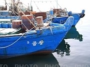 559233