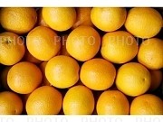 569593