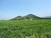 684449