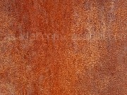 1020262