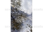 1624870