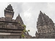 2496604