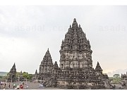 2496619