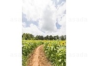 2518236