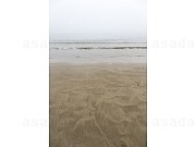 2524638