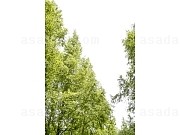 2547128